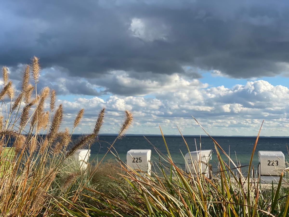 Panoramadeck Familien-strandnah-garten-hunde-sport-und Schwimmbadnah-hansapark * Sierksdorf